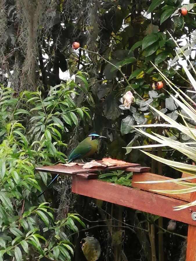 Eco Hostal Casa La Juana Acomodação com café da manhã Medellín Exterior foto