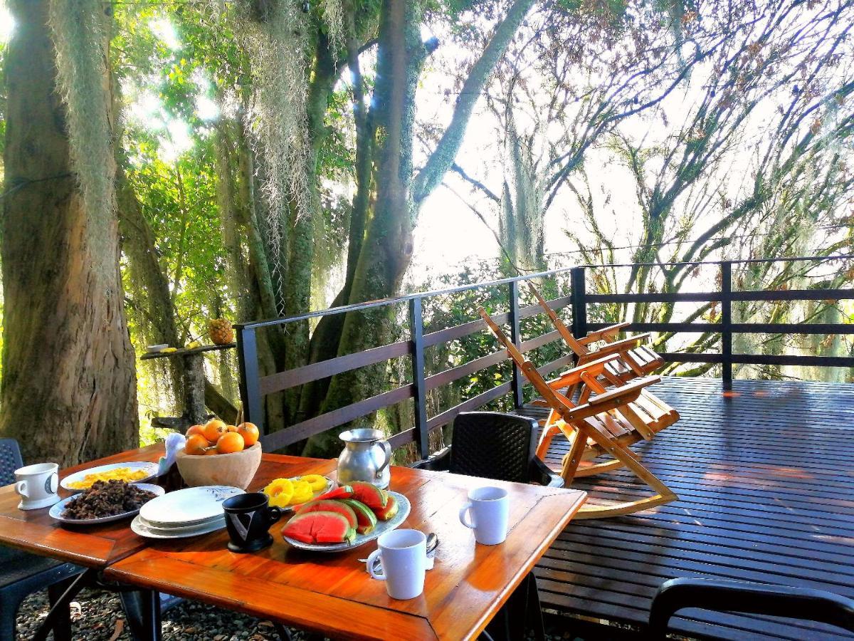 Eco Hostal Casa La Juana Acomodação com café da manhã Medellín Exterior foto
