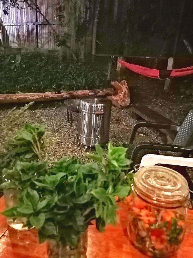 Eco Hostal Casa La Juana Acomodação com café da manhã Medellín Exterior foto