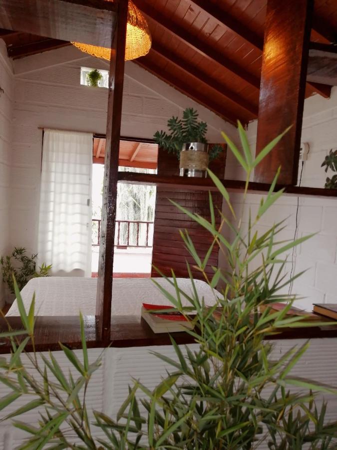 Eco Hostal Casa La Juana Acomodação com café da manhã Medellín Exterior foto