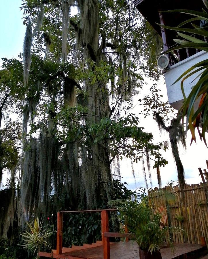 Eco Hostal Casa La Juana Acomodação com café da manhã Medellín Exterior foto