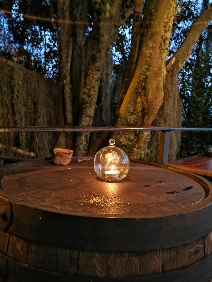 Eco Hostal Casa La Juana Acomodação com café da manhã Medellín Exterior foto