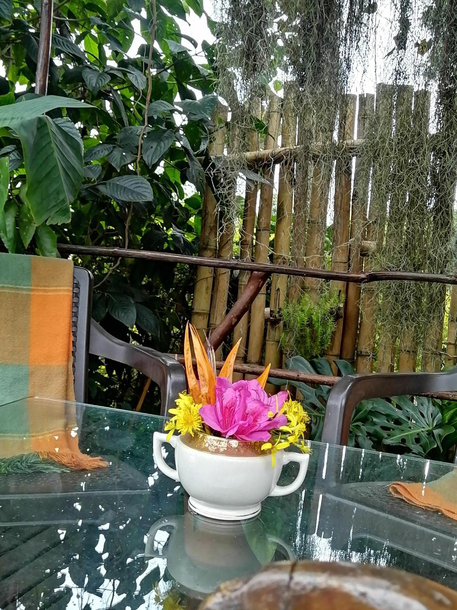 Eco Hostal Casa La Juana Acomodação com café da manhã Medellín Exterior foto