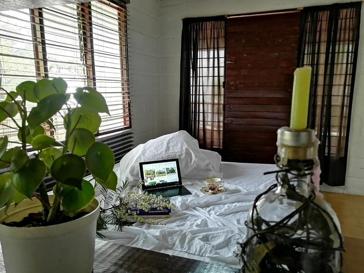 Eco Hostal Casa La Juana Acomodação com café da manhã Medellín Exterior foto